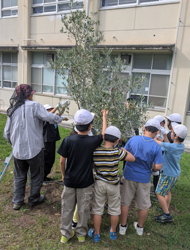 地域の方と収穫体験。
