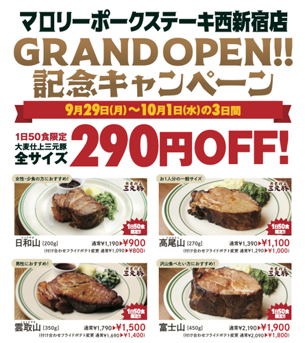 オープイニングキャンペーン