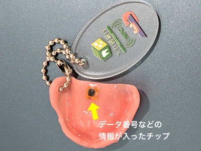 裏面に入れ歯情報が入ったチップ