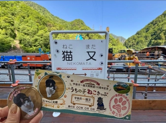黒部峡谷鉄道　宇奈月～猫又間開通100周年記念
「うちの子ねこきっぷ＆缶バッジ」プレゼント！