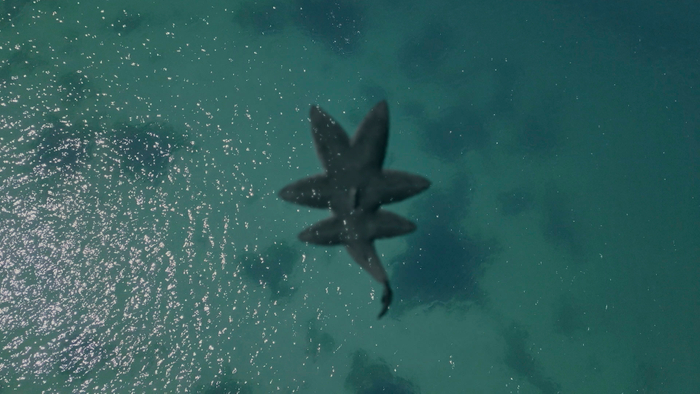 &copy; 2018 TAUT PRODUCTIONS, LLC. All Rights Reserved.