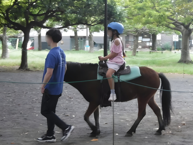 乗馬体験（昨年の様子）
