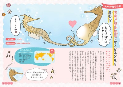 タツノオトシゴはオスが子どもを産む⁉