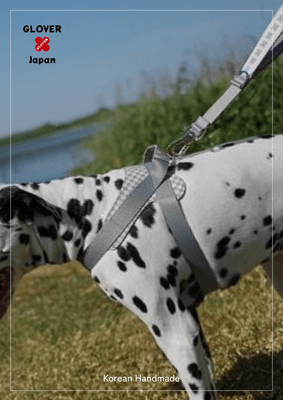 ハーネス大型犬着用