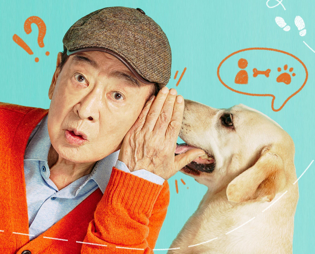 &copy; IMTV Co.,Ltd. All Rights Reserved