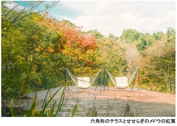 ROKKO森の音ミュージアム SIKIガーデンAutumn Season 紅葉の見頃は10月下旬～11月下旬 2026年8月29日（土）～11月30日（月）