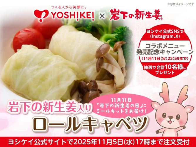 ヨシケイ&times;岩下の新生姜「岩下の新生姜入りロールキャベツ」