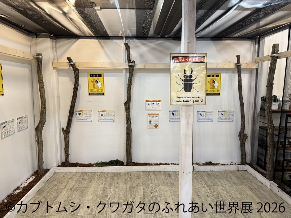ふれあい体験コーナー(2)