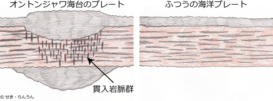 図1. 本研究でわかったオントンジャワ海台のプレートの模式図