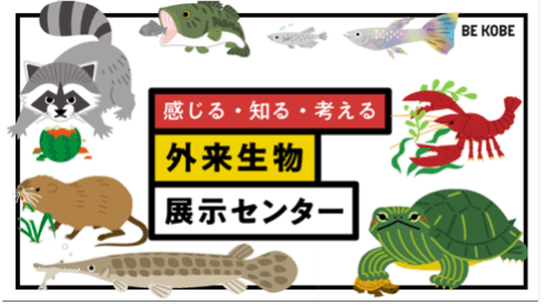 外来生物ってなに？外来生物問題について学ぼう！