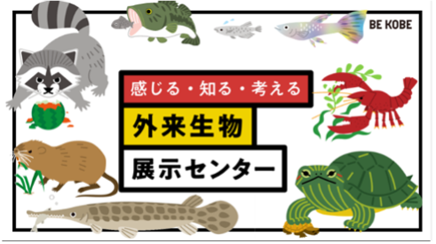 外来生物ってなに？外来生物問題について学ぼう！
