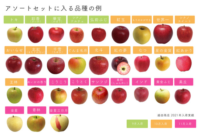 アソートセットに入る品種の例