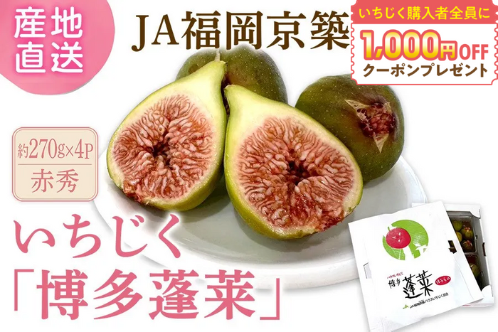 ハウスいちじく「博多蓬莱」約270ｇ&times;４パック◎ＪＡ福岡京築