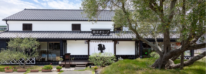 東洋オリーブ株式会社