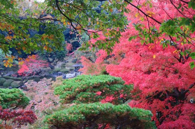 展望台からの眺め(11月20日撮影)