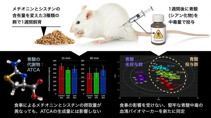 本研究の概要図（サイエンスデザイナー　髙橋一誠氏　作成）