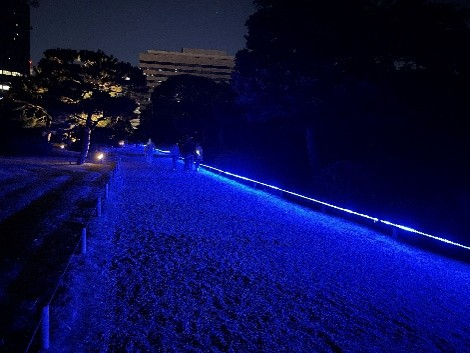 青く浮かび上がる園路（イメージ）