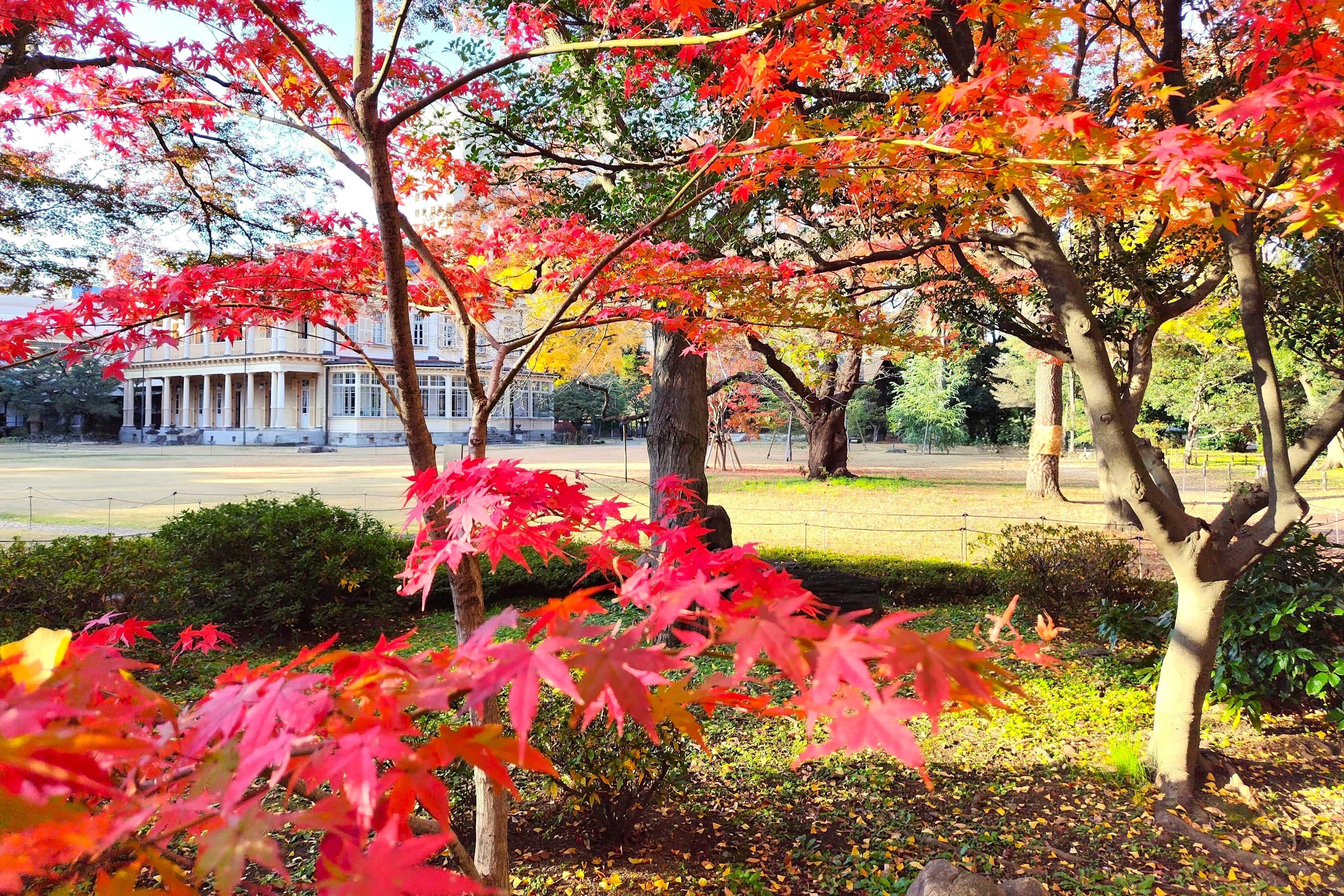 重要文化財　旧岩崎邸庭園（芝庭側）