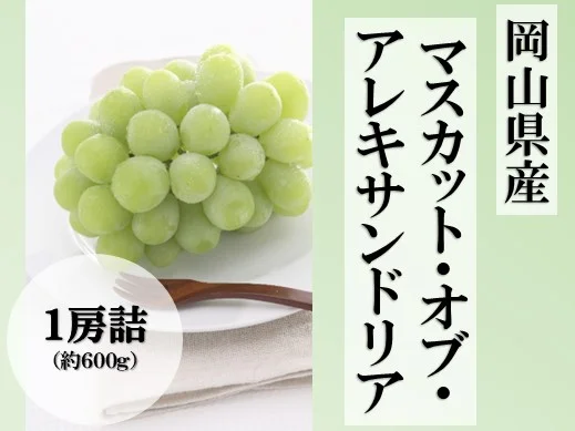 マスカット・オブ・アレキサンドリア1房詰(7月上旬頃~7月下旬発送)【お中元】