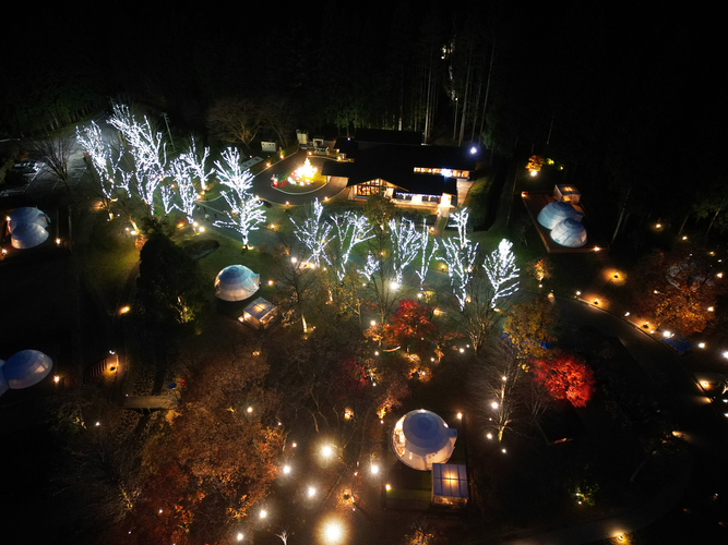 イルミネーションナイト2025鳥観図