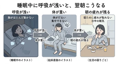 人生の1/3の睡眠中に呼吸が弱くなる──その構造が健康を害する入口だった・シリーズ初回
