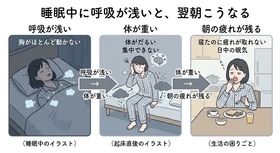 人生の1/3の睡眠中に呼吸が弱くなる──その構造が健康を害する入口だった・シリーズ初回
