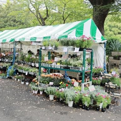 テント出展（昨年の様子）