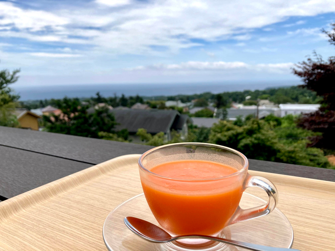 断食中のスムージー(内臓のリカバリー)