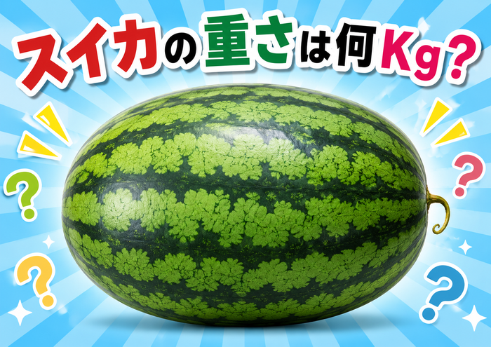 巨大スイカ重さ当てクイズ　※画像はイメージです
