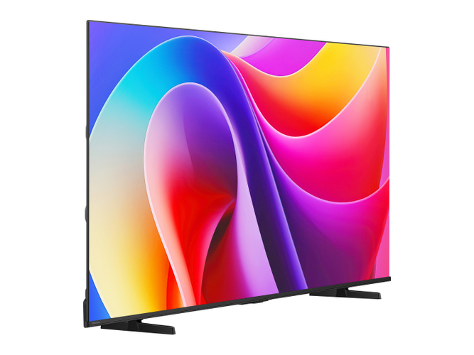 大画面テレビ65A6R