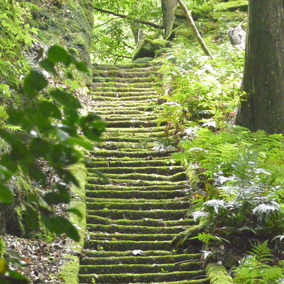 高野山コース階段