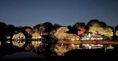 ライトアップされた中の島（昨年の様子）