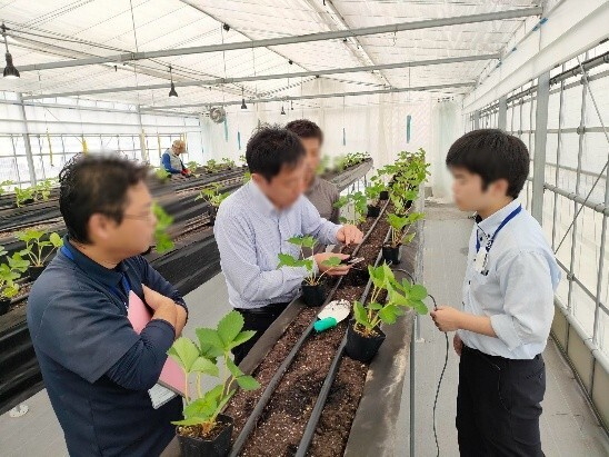 デンソー&times;DPT(1)