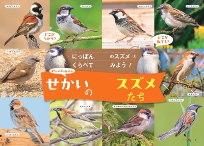 せかいのスズメたち
