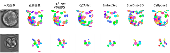 図2　3次元明視野顕微鏡画像の細胞核セグメンテーション結果