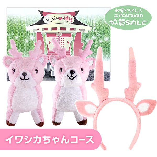 「イワシカちゃんコース」セット内容