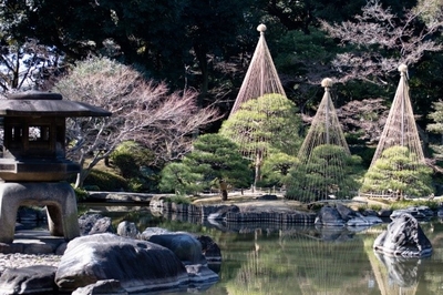 日本庭園の冬の風物詩・雪吊り（過去の様子）