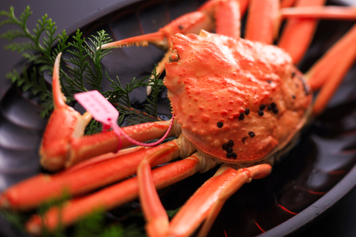 タグ付き 山陰松葉蟹［イメージ］