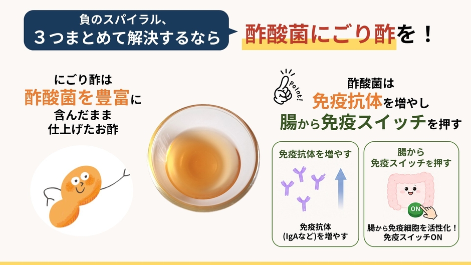 酷暑には酢酸菌にごり酢