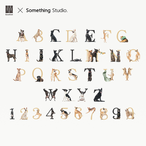 ダイナフォント&times;Something Studioコラボ書体