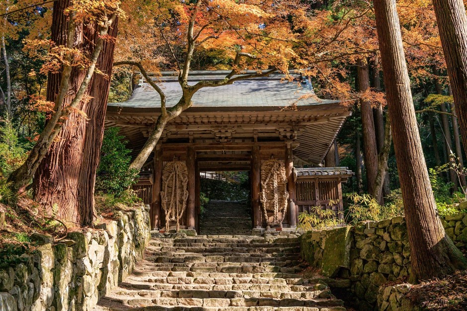 百済寺・仁王門