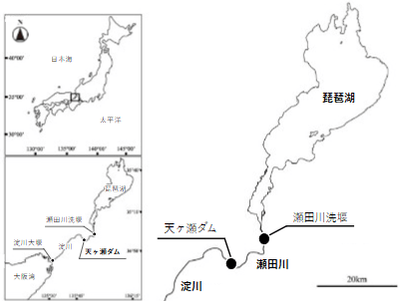 図1　琵琶湖～瀬田川水系における瀬田川の位置