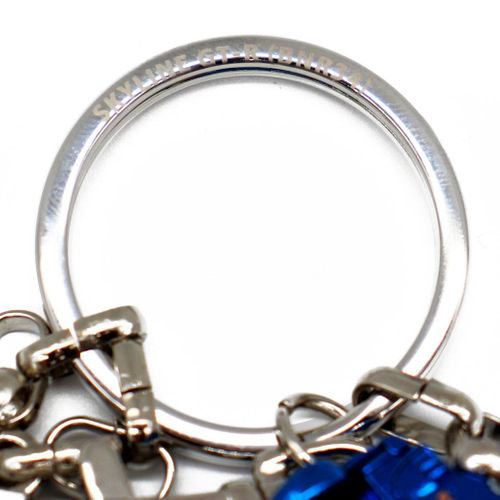 日産スカイライン GT-R (BNR34) キーリング