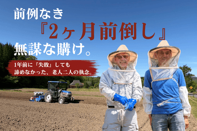 平井と高木1