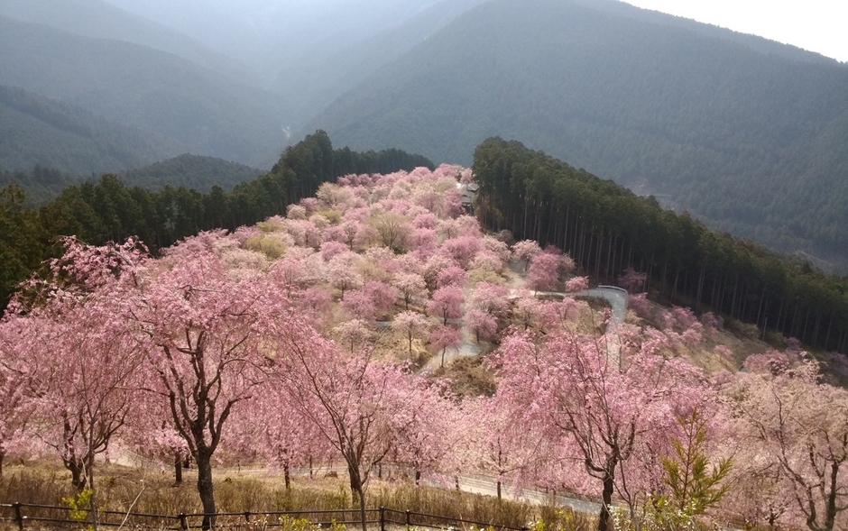 *高見の郷・イメージ
