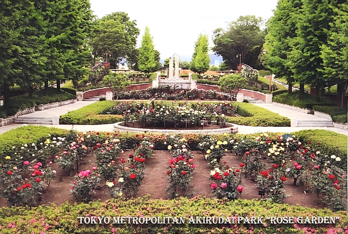 景品ポストカード（イメージ）