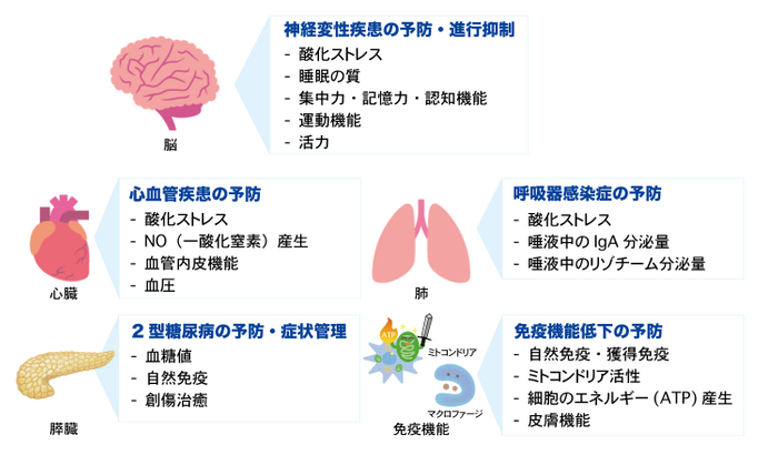 FPPによるヒトでの抗炎症および改善効果