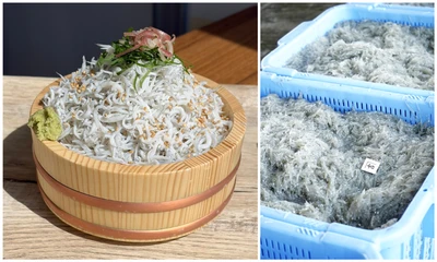 釜揚げしらすと磐田の新米を、お腹いっぱい。 「磐田市産・虹のきらめき」を使った新米食べ放題＆ 釜揚げしらす増量サービスを期間限定で10/17,18の2日間で開催！