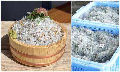 釜揚げしらす増量／新米おかわり自由！