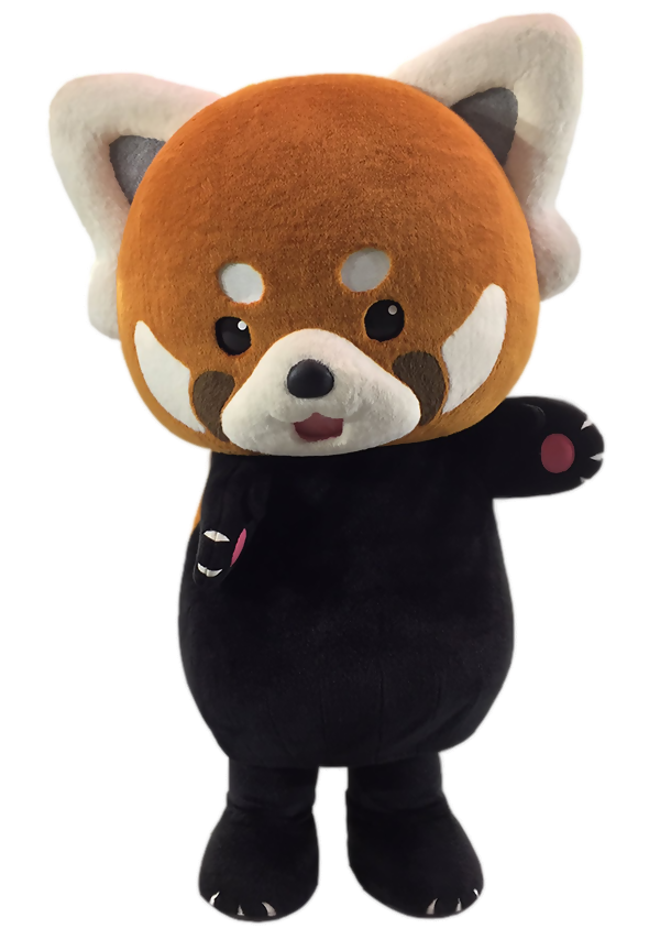 レッサーパンダ風太くん